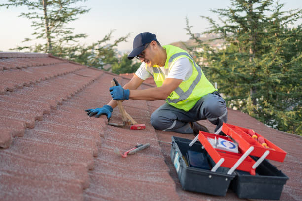 Roof Gutter Cleaning in Winchester, OH
